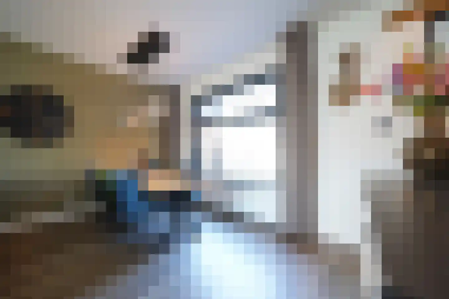 Molenstraat 31 Putten thumbnail 19