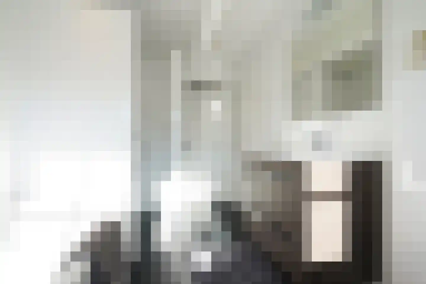 Molenstraat 31 Putten thumbnail 41