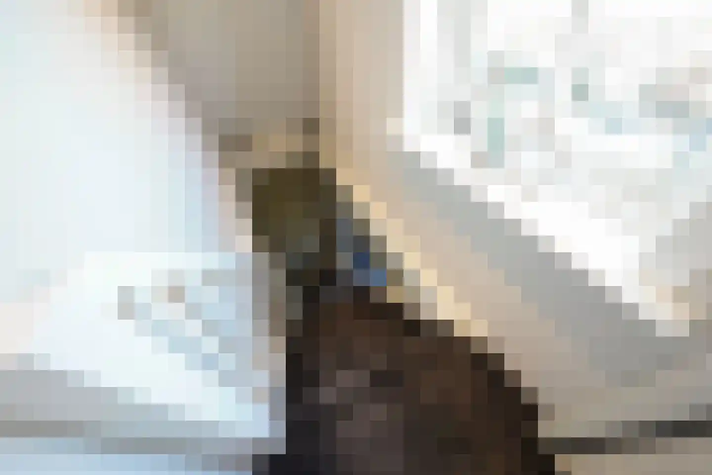 Molenstraat 31 Putten thumbnail 43