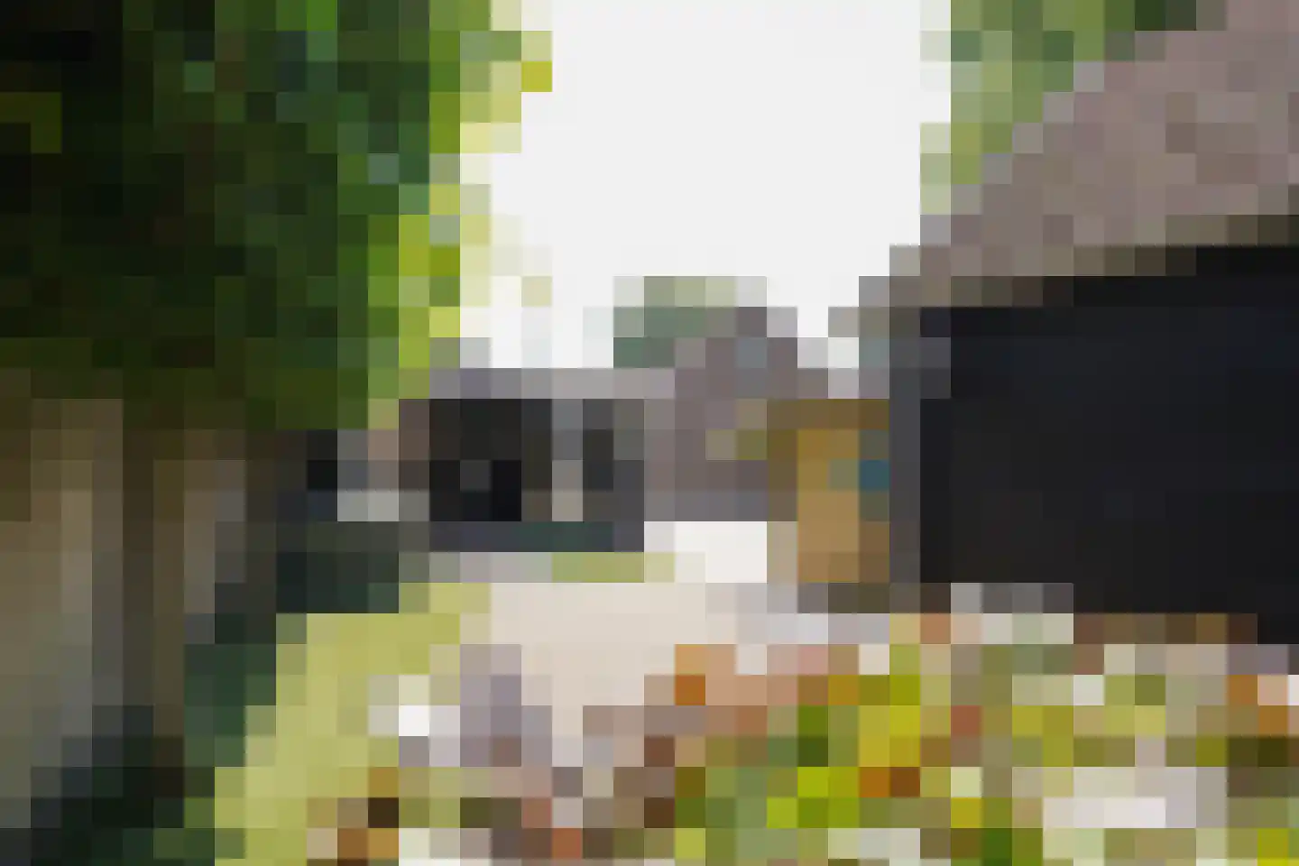Molenstraat 31 Putten thumbnail 46