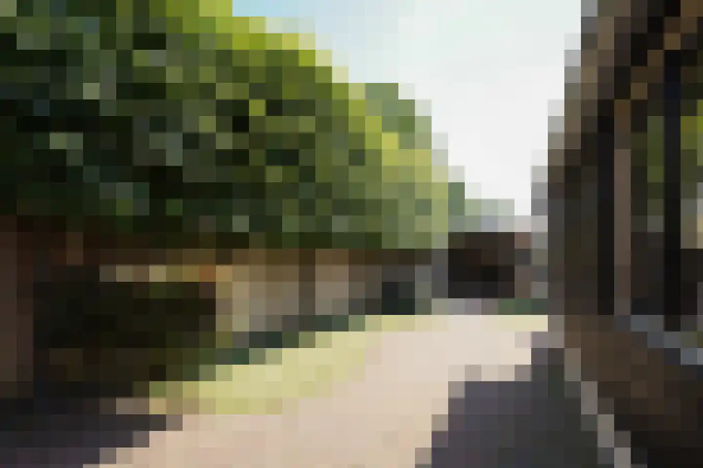 Molenstraat 31 Putten thumbnail 50