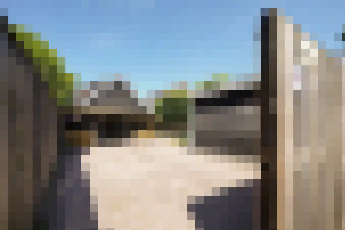 Molenstraat 31 Putten thumbnail 58