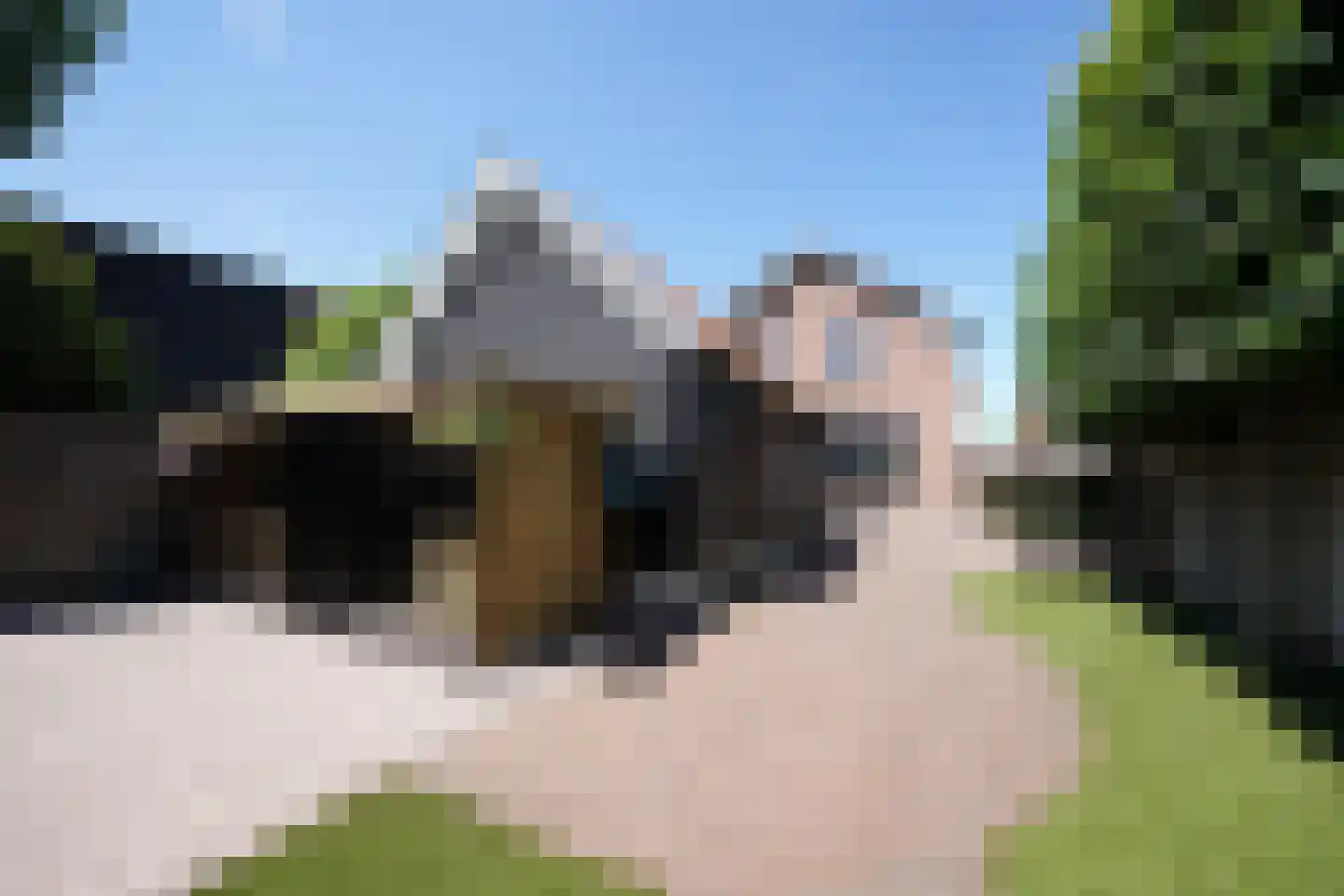 Molenstraat 31 Putten thumbnail 64