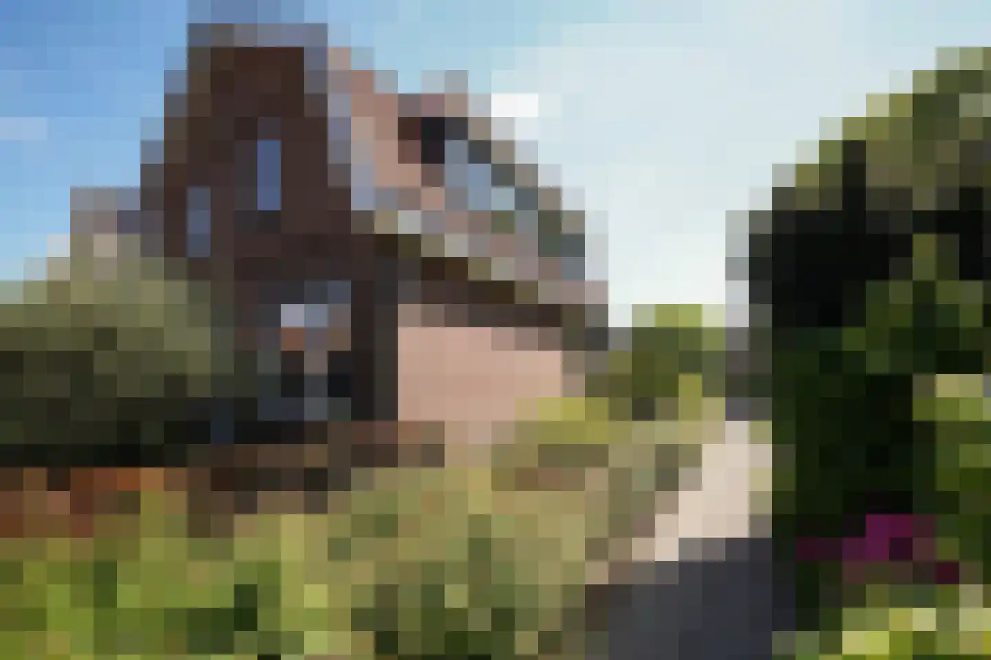Molenstraat 31 Putten thumbnail 68