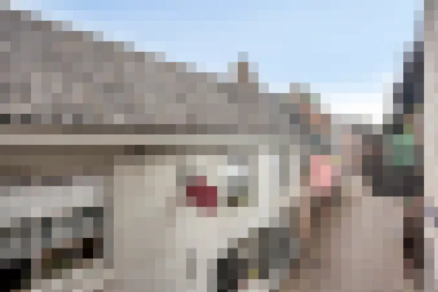 Molenstraat 31 's-Hertogenbosch thumbnail 17