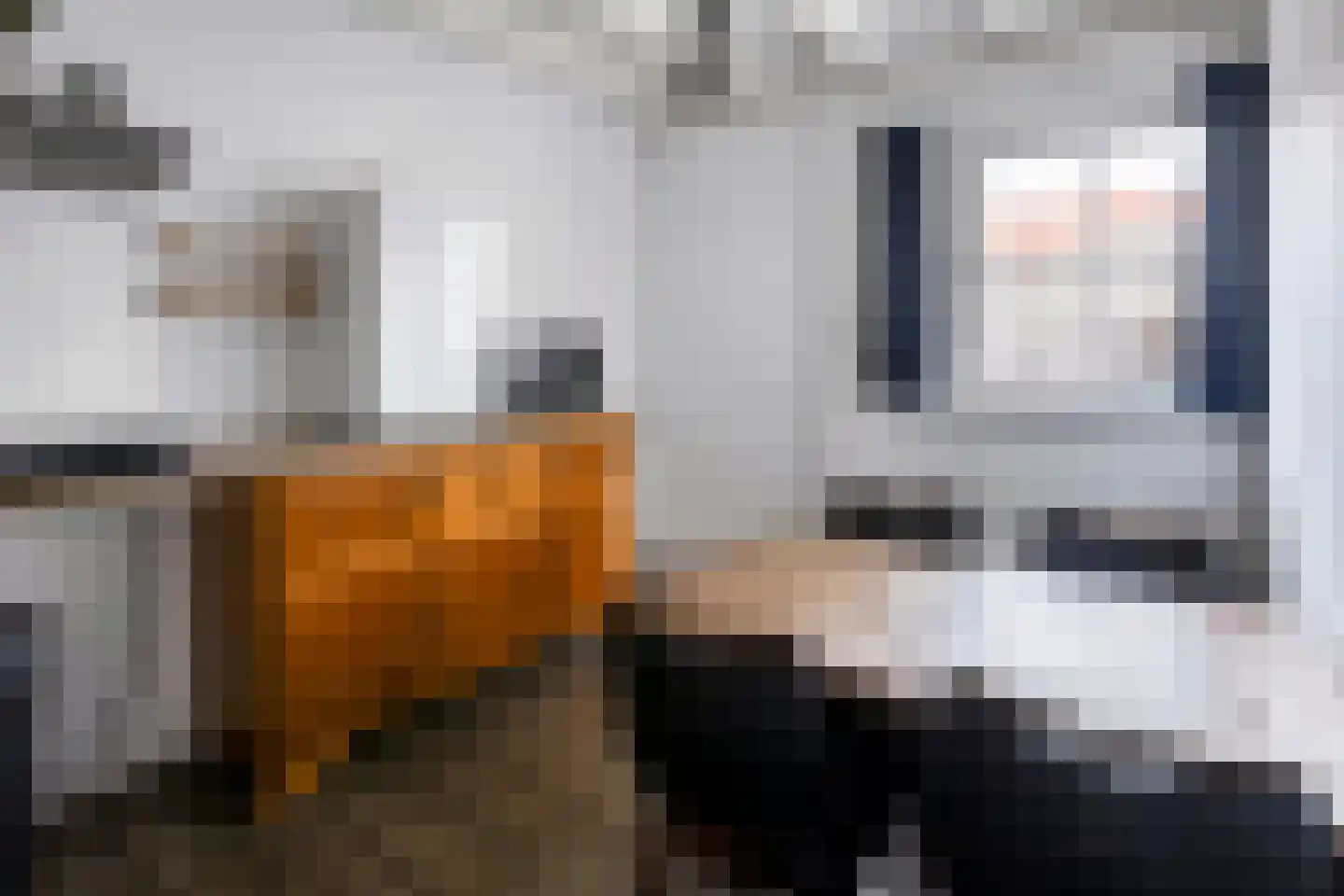 Molenstraat 31 's-Hertogenbosch thumbnail 20