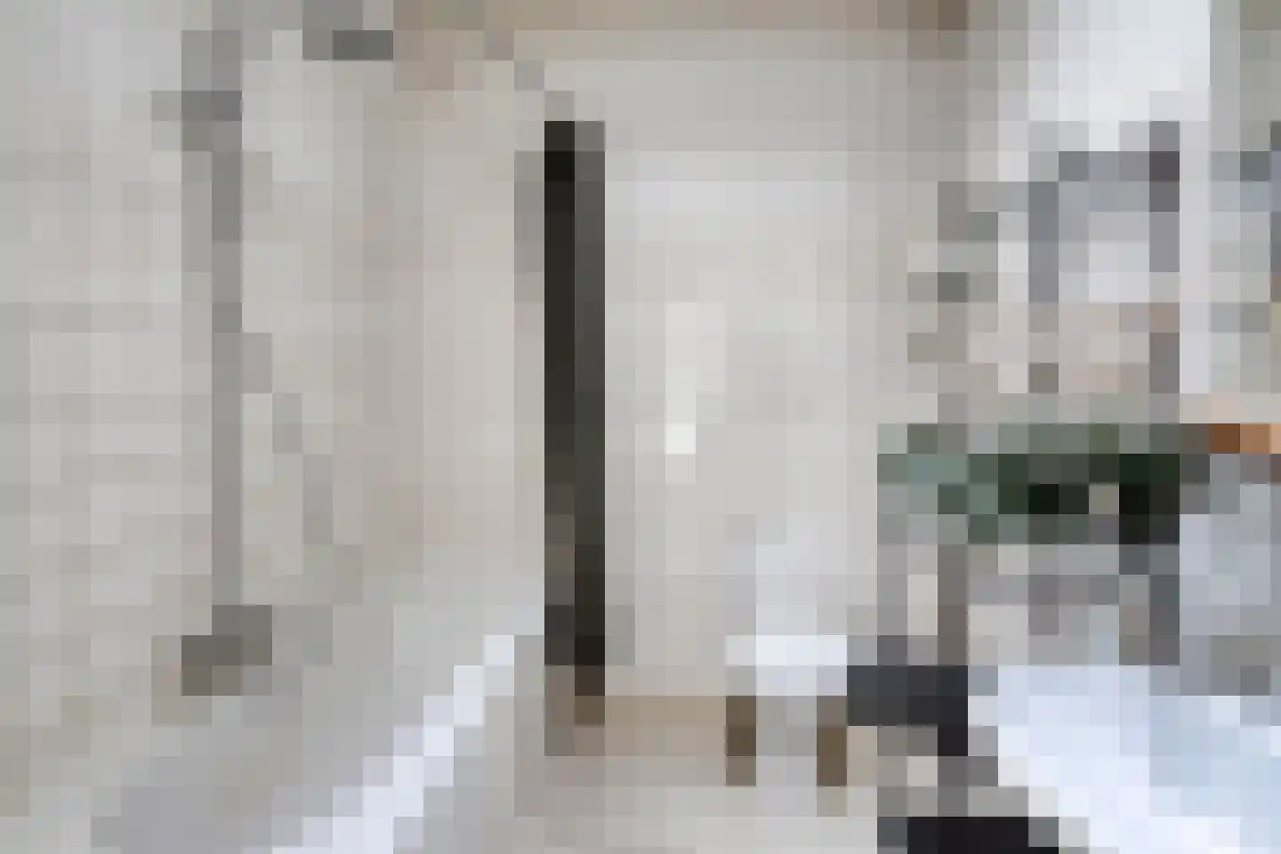 Molenstraat 31 's-Hertogenbosch thumbnail 21