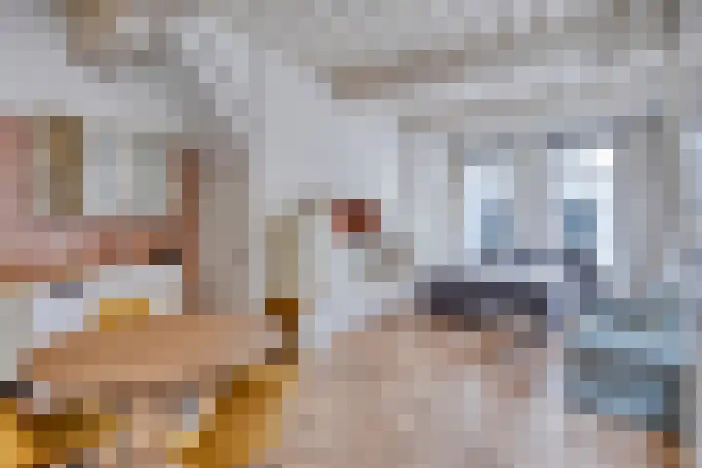 Molenstraat 31 's-Hertogenbosch thumbnail 4