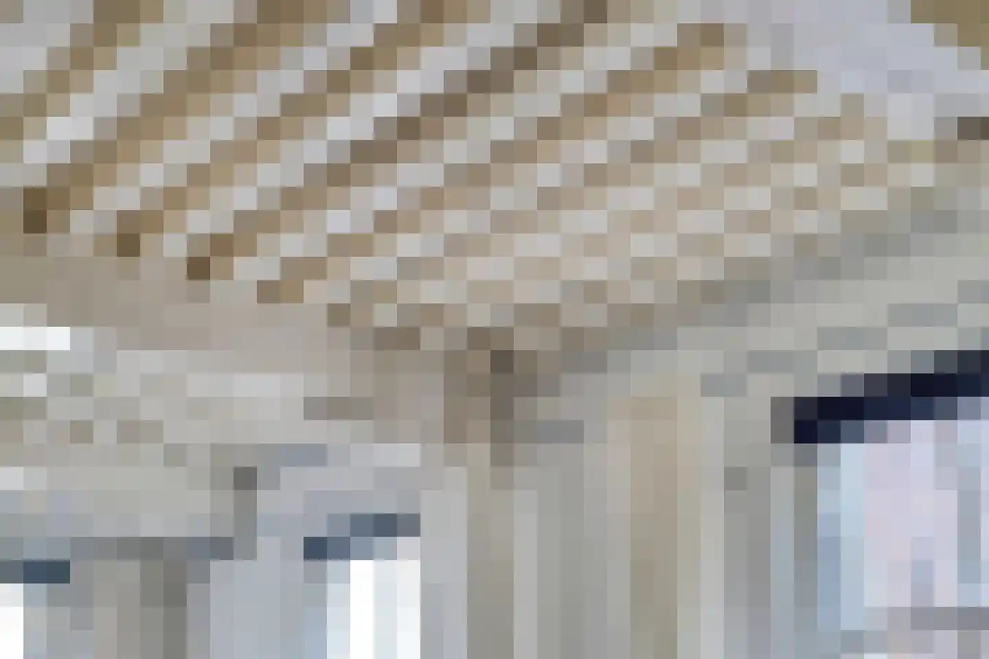 Molenstraat 31 's-Hertogenbosch thumbnail 6