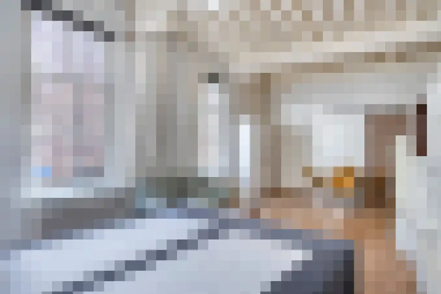 Molenstraat 31 's-Hertogenbosch thumbnail 7