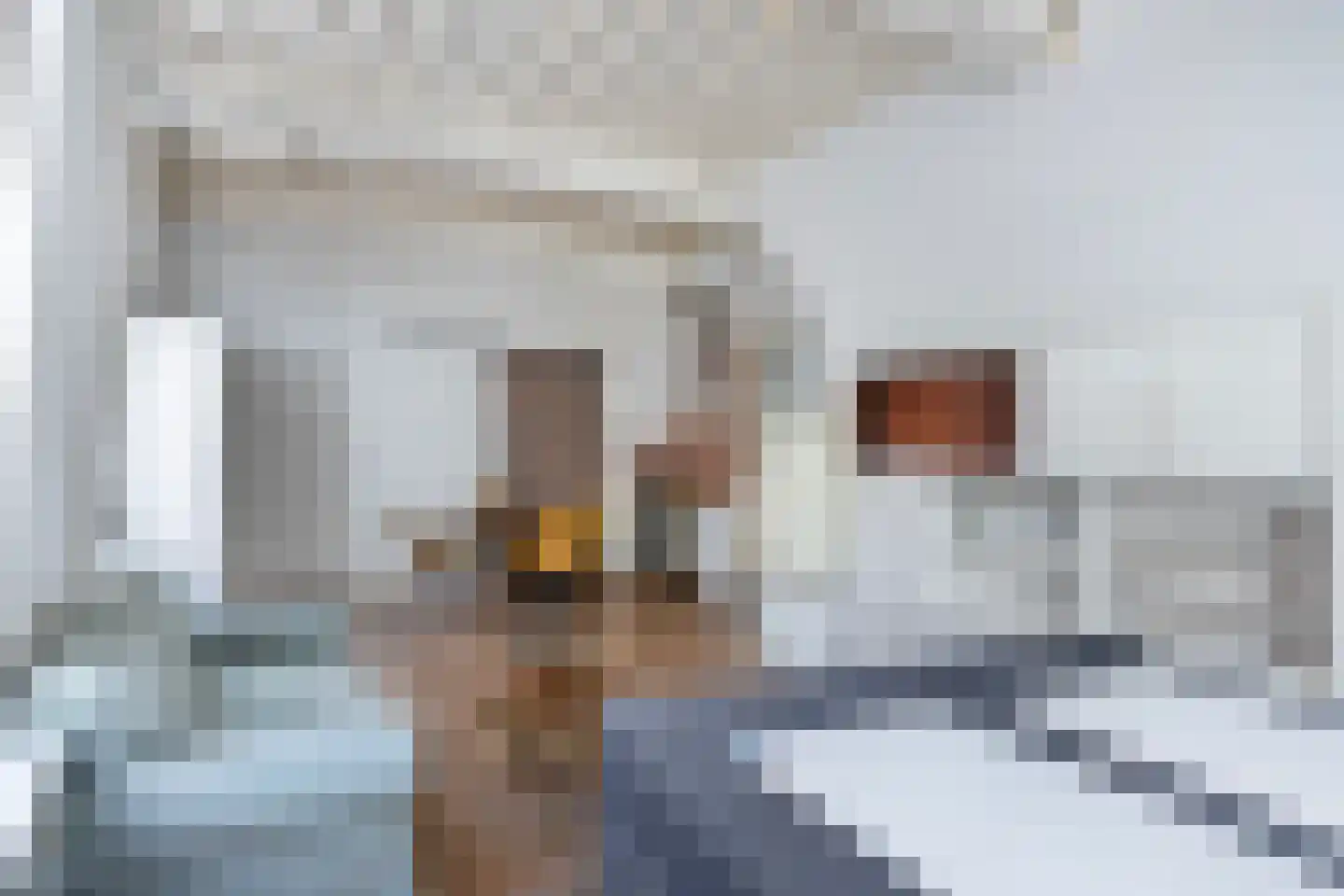 Molenstraat 31 's-Hertogenbosch thumbnail 8