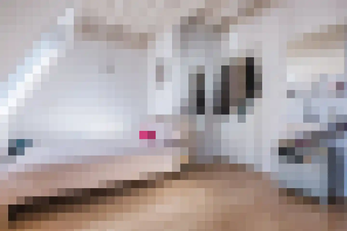 Molenstraat 31 Tilburg thumbnail 17
