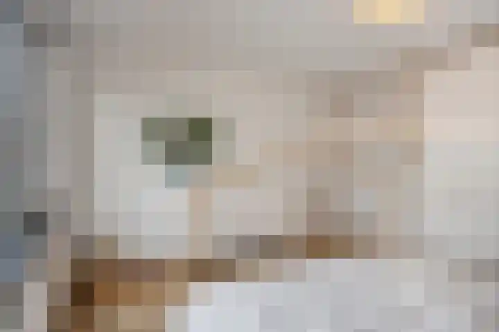 Molenstraat 31 Vught thumbnail 20