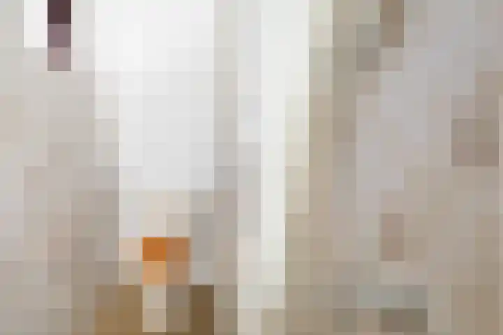 Molenstraat 31 Zoetermeer thumbnail 10