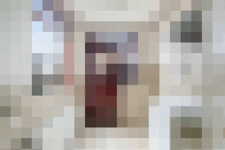 Molenstraat 31 Zoetermeer thumbnail 15