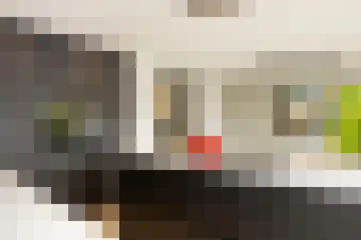 Molenstraat 31 Zoetermeer thumbnail 20