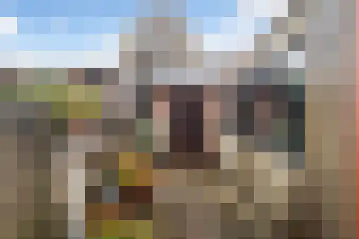 Molenstraat 31 Zoetermeer thumbnail 21