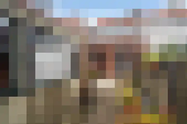 Molenstraat 31 Zoetermeer thumbnail 22