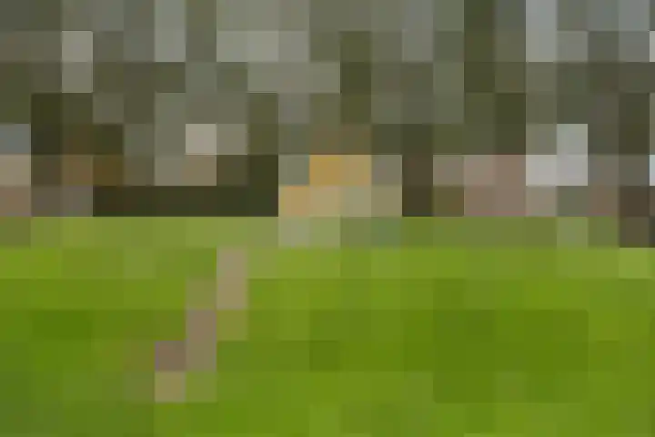 Molenstraat 31 Zoetermeer thumbnail 44