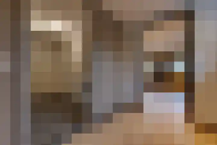 Molenstraat 32 Borger thumbnail 12