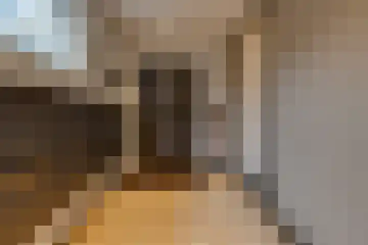 Molenstraat 32 Borger thumbnail 15