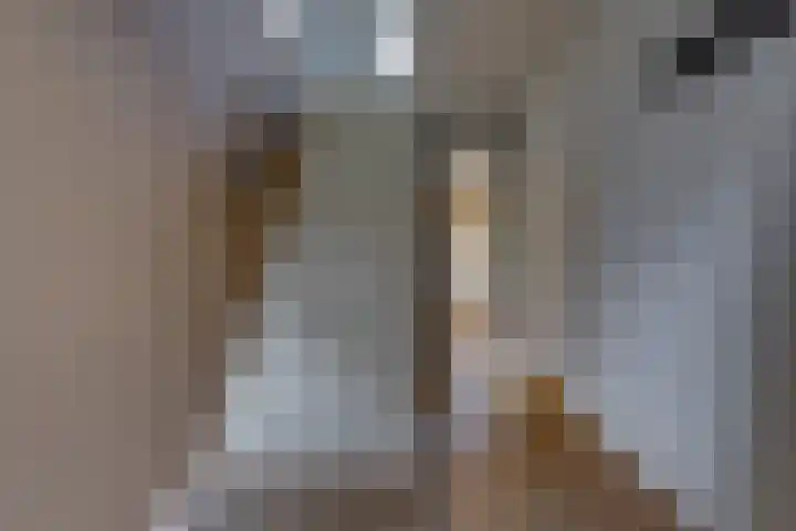 Molenstraat 32 Borger thumbnail 16