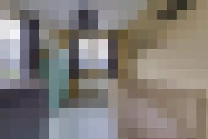 Molenstraat 32 Borger thumbnail 25