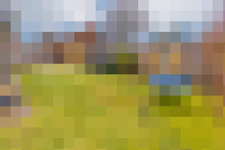 Molenstraat 32 Borger thumbnail 33