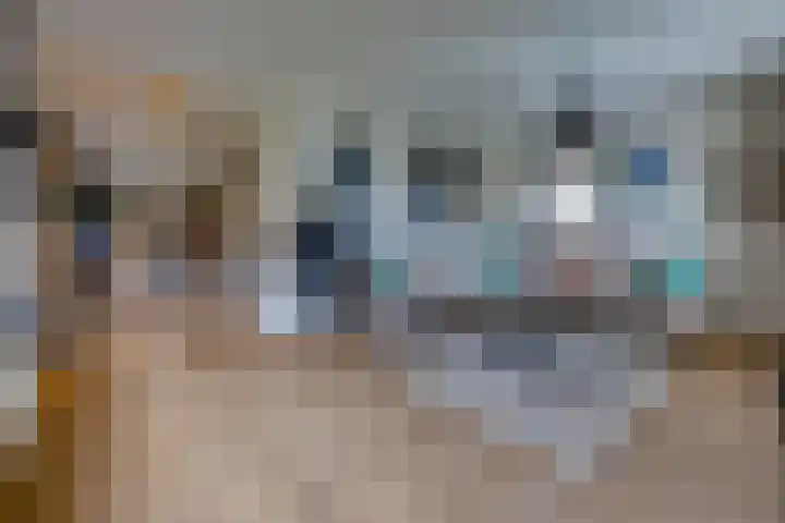 Molenstraat 32 Borger thumbnail 5