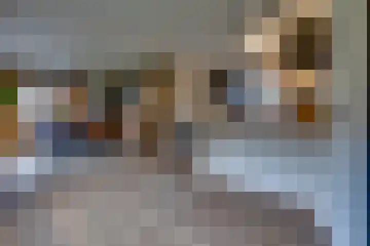 Molenstraat 32 Borger thumbnail 6