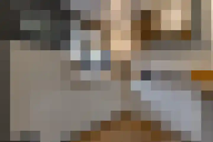 Molenstraat 32 Borger thumbnail 8