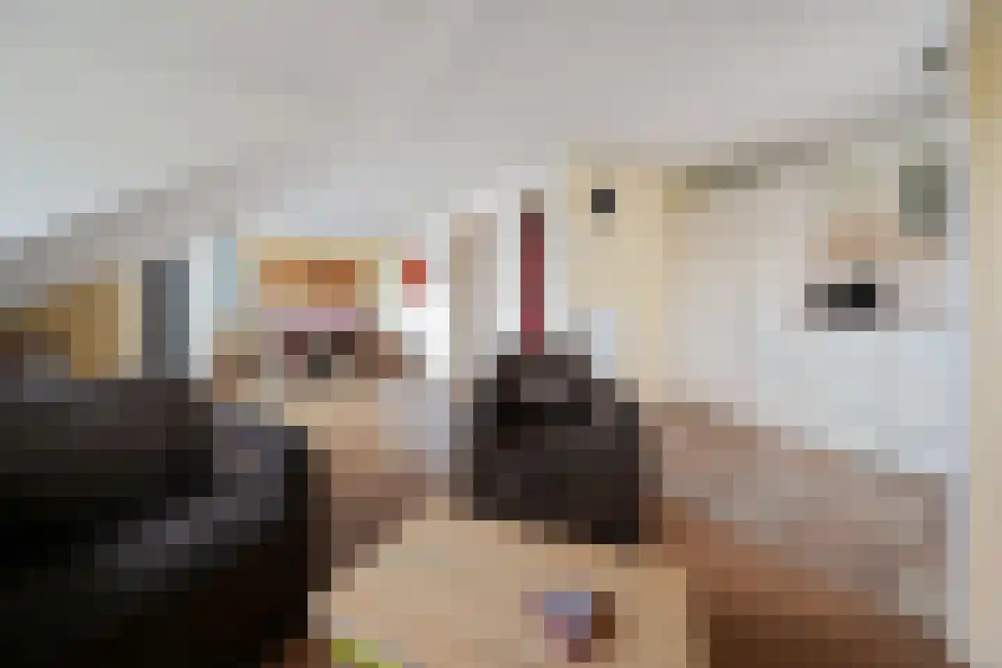 Molenstraat 32 Den Burg thumbnail 11