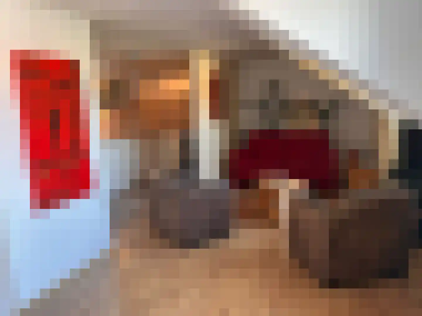 Molenstraat 32 Den Burg thumbnail 14