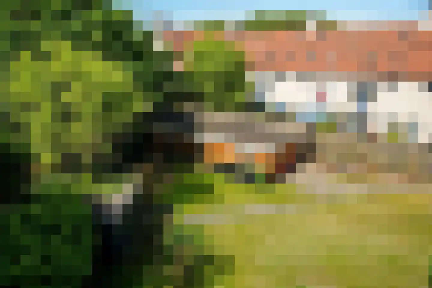 Molenstraat 32 Den Burg thumbnail 22