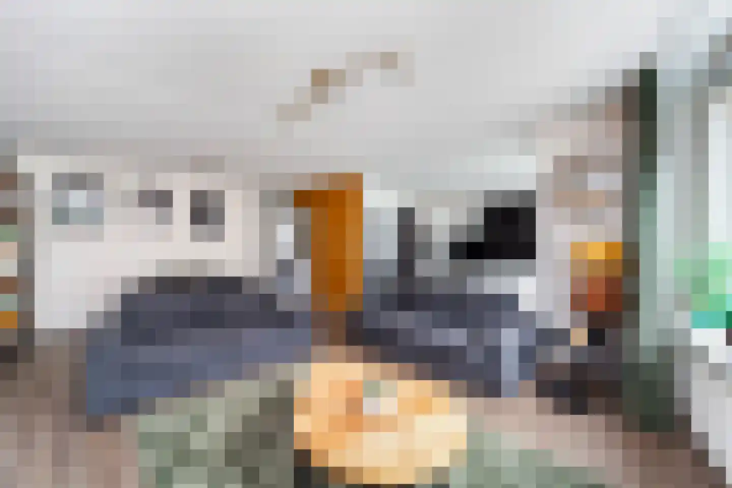 Molenstraat 32 Monster thumbnail 12