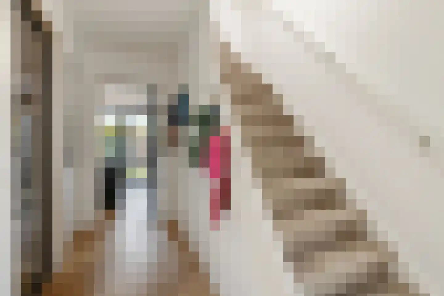 Molenstraat 32 Venlo thumbnail 11