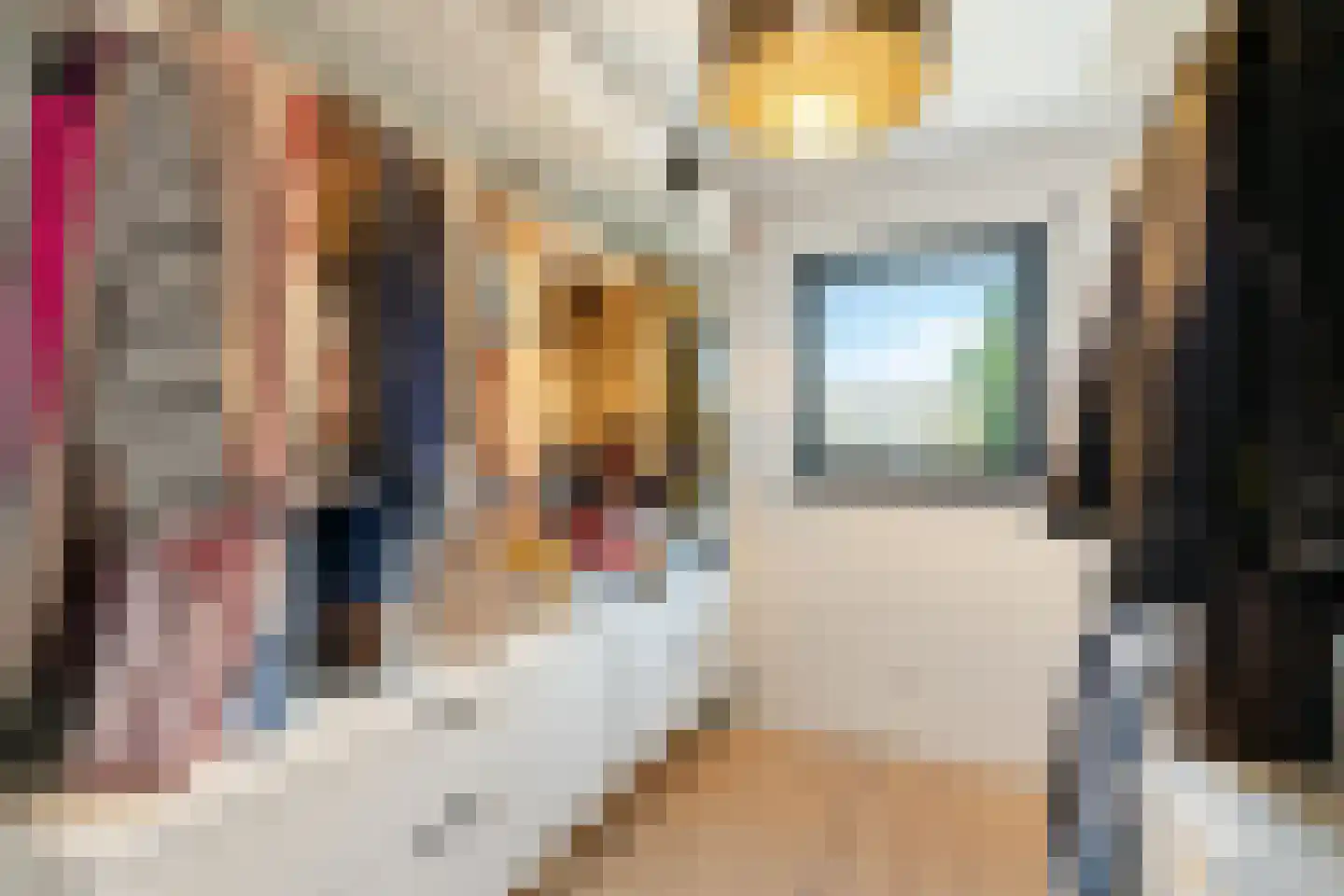 Molenstraat 32 Venlo thumbnail 17