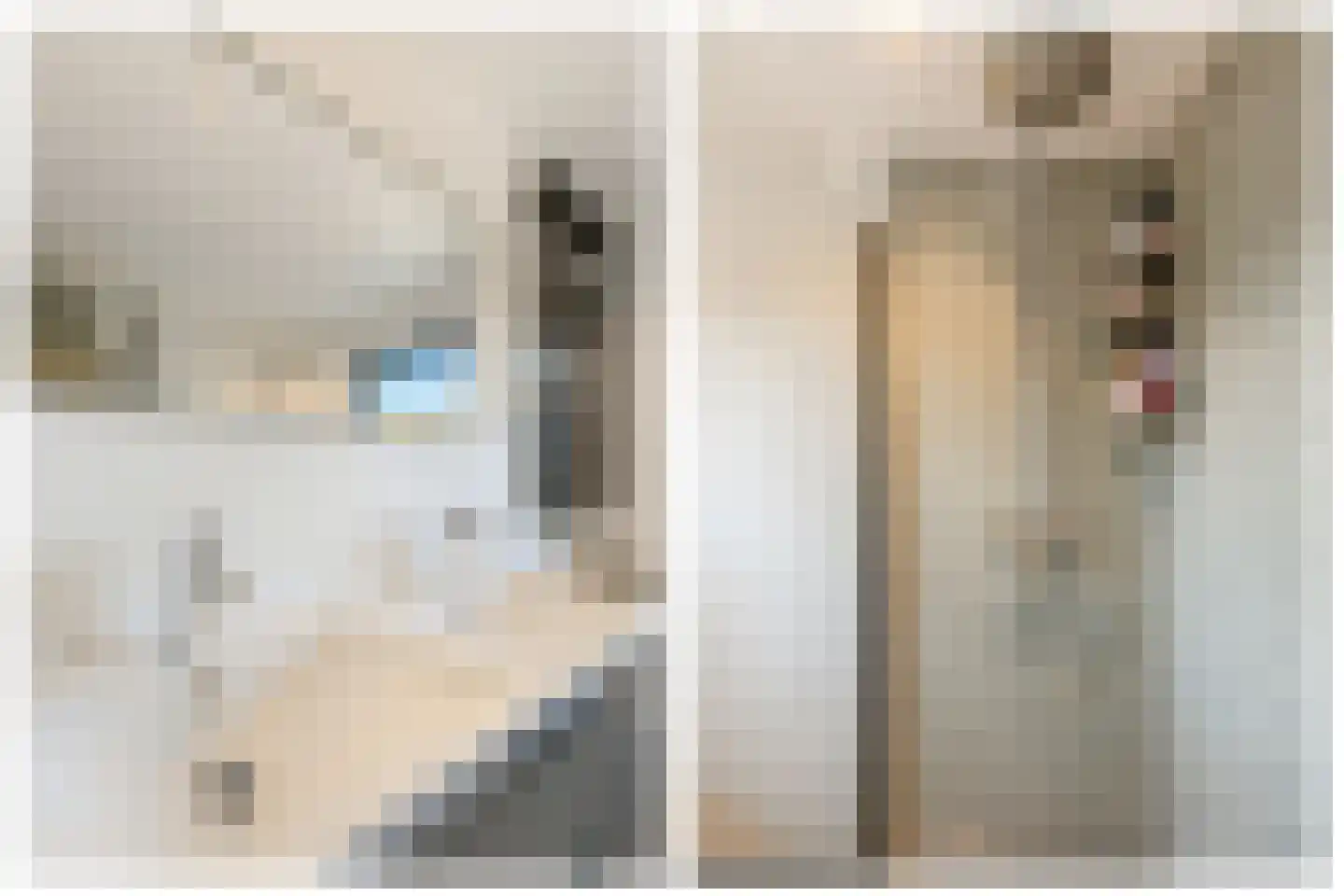 Molenstraat 32 Venlo thumbnail 21