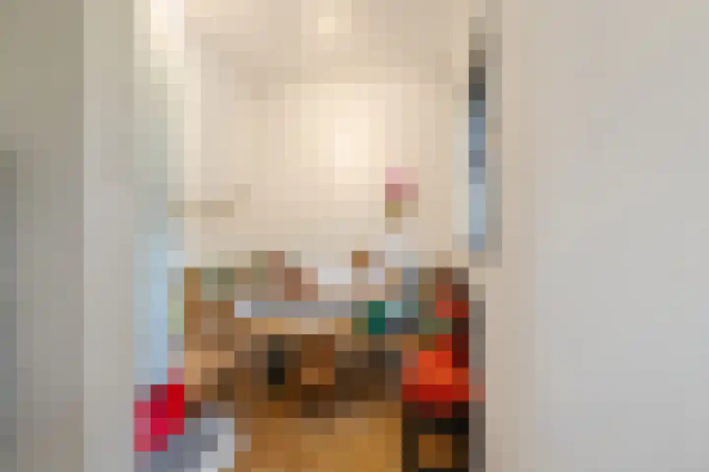 Molenstraat 32 Venlo thumbnail 6