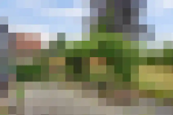 Molenstraat 32 Westdorpe thumbnail 4