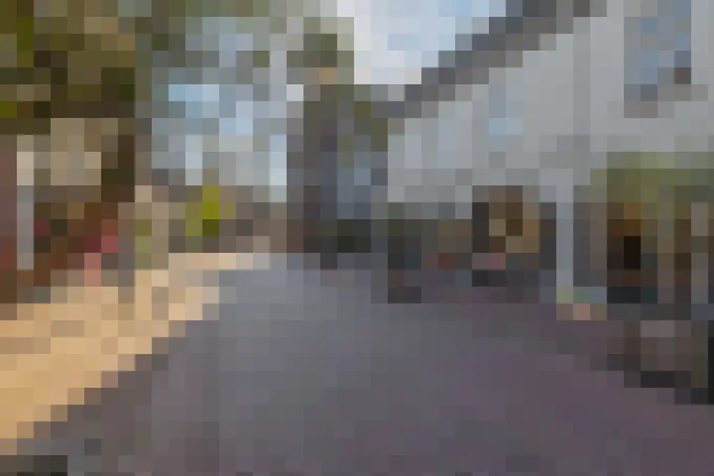 Molenstraat 33 B Veghel thumbnail 29