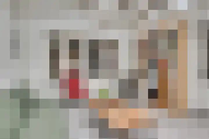Molenstraat 33 Beek thumbnail 21