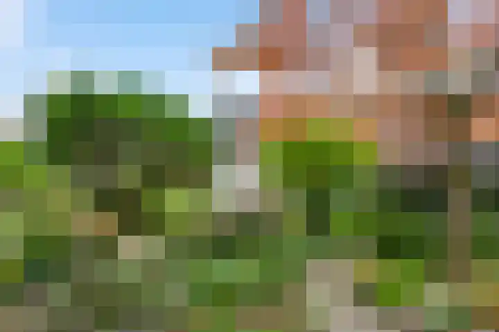 Molenstraat 33 Beek thumbnail 4