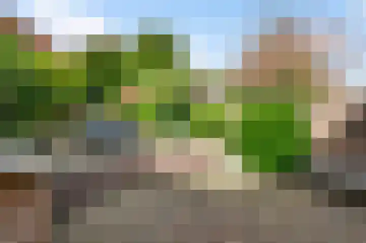 Molenstraat 33 Beek thumbnail 42
