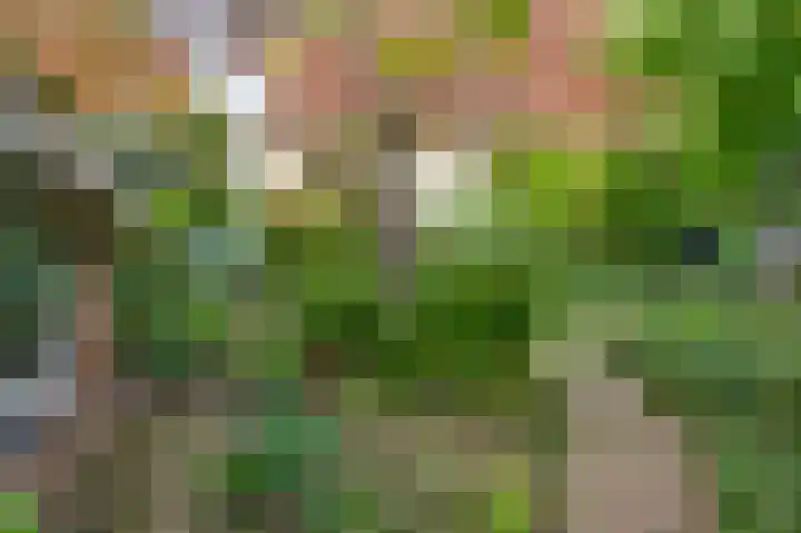 Molenstraat 33 Beek thumbnail 45