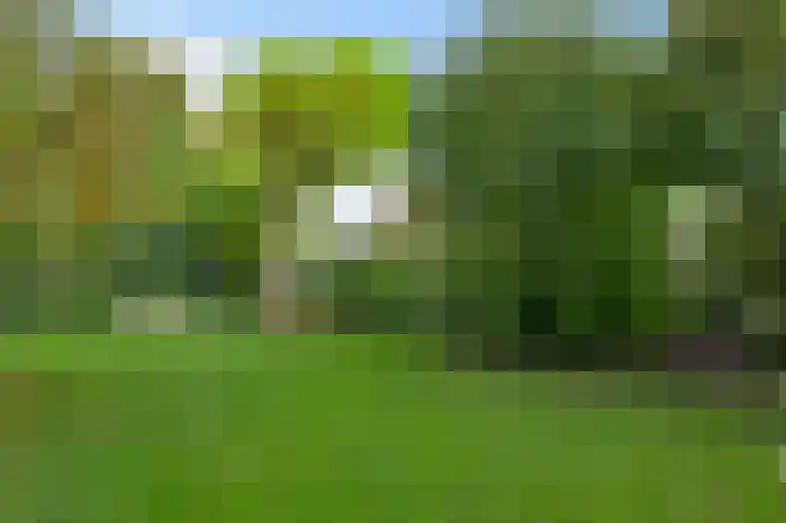 Molenstraat 33 Beek thumbnail 49