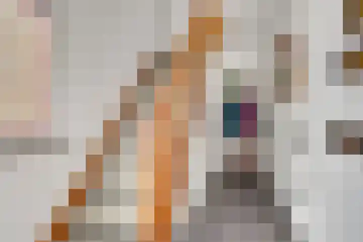 Molenstraat 33 Beek thumbnail 6