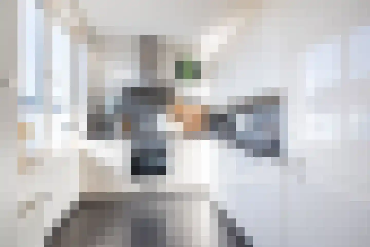 Molenstraat 33 Dinxperlo thumbnail 14