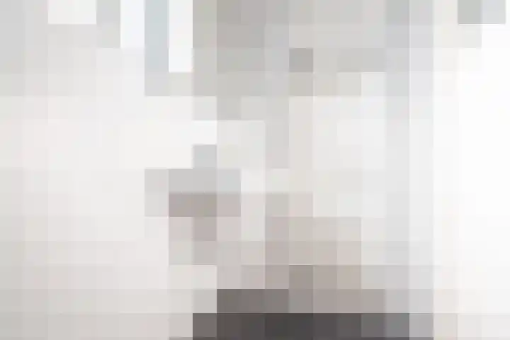 Molenstraat 33 Dinxperlo thumbnail 27