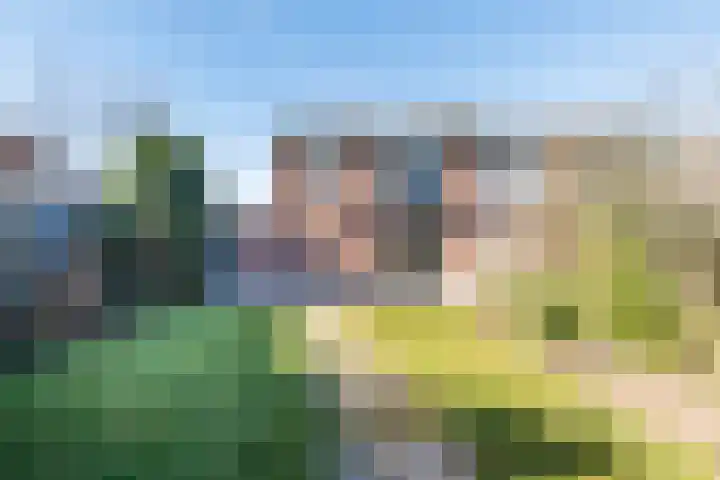Molenstraat 33 Dinxperlo thumbnail 37